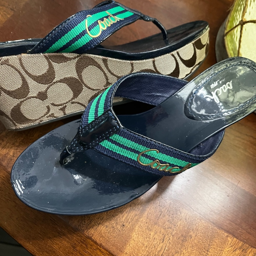 Coach Gabriela stripe Webb platform Sandals